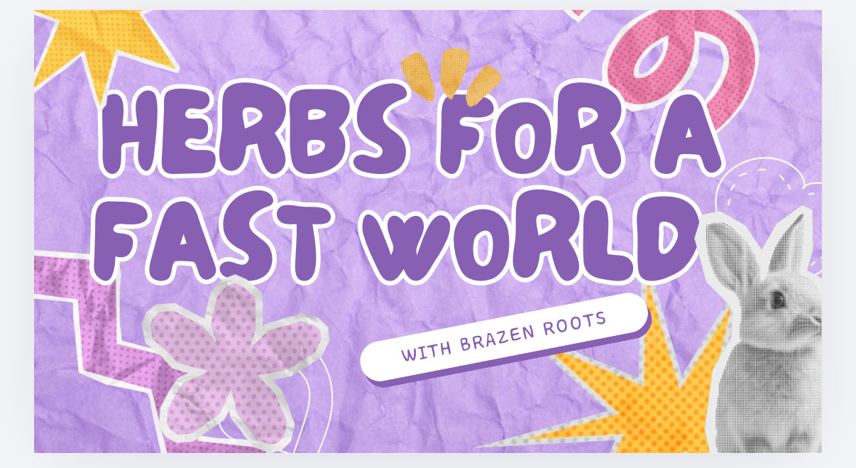 REPLAY - Herbs for a fast world